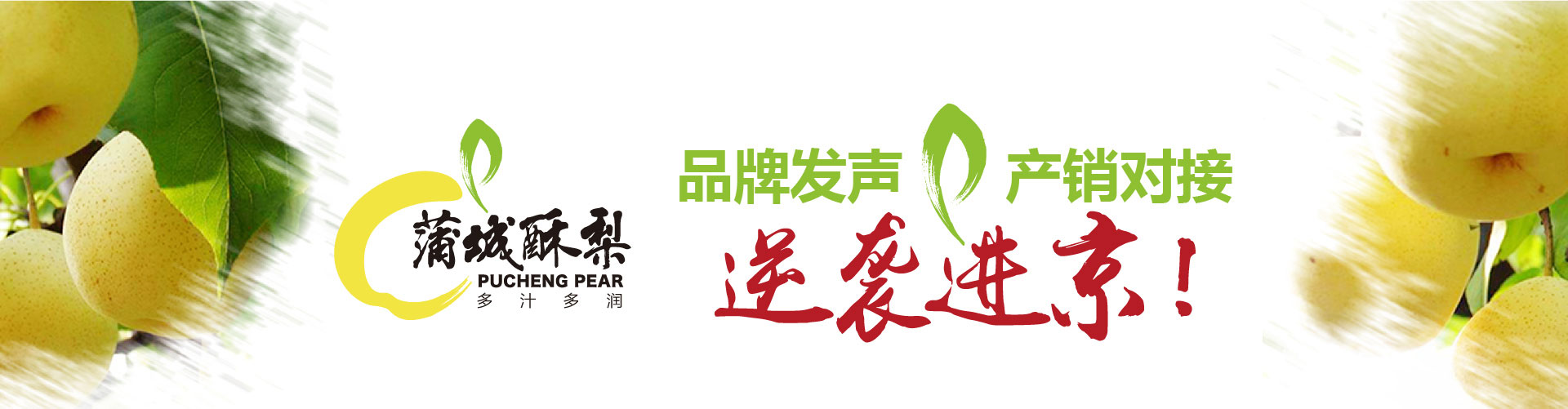 戰(zhàn)略賦能區(qū)域公用品牌，點(diǎn)亮區(qū)域經(jīng)濟(jì)