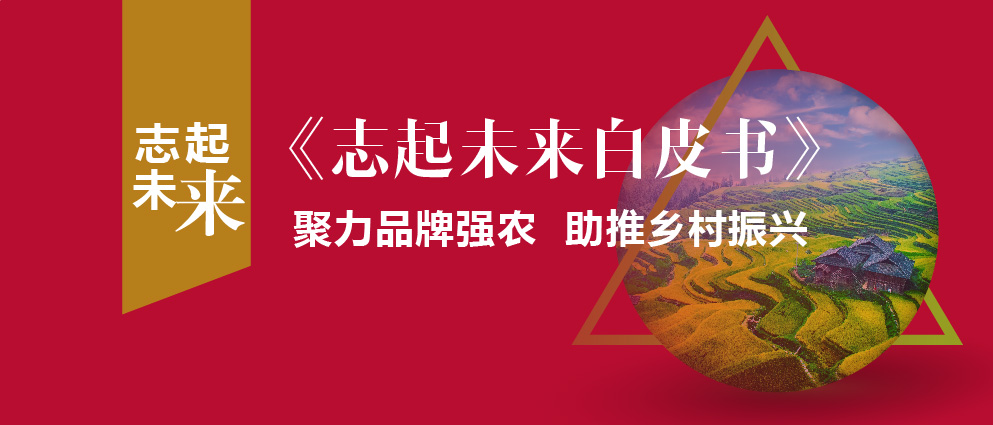 蔚州田園綜合體項(xiàng)目服務(wù)手記 ——深度剖析中國(guó)首個(gè)童年文明主題田園綜合體